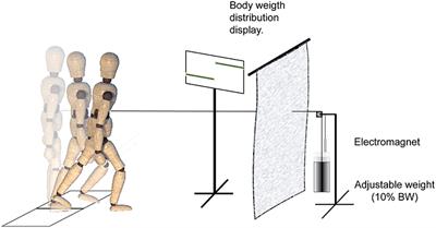 Perturbation-Induced Stepping Post-stroke: A Pilot Study Demonstrating Altered Strategies of Both Legs